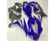 Azul Gris Carenado R1 02-03