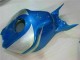 Azul Plata Carenado CBR 1000 RR 06-07
