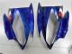 Azul Tiburón Carenado R6 06-07 Azul Tiburón Carenado R6 06-07