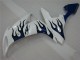 Blanco Azul Llama Carenado R1 04-06 Blanco Azul Llama Carenado R1 04-06