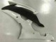 Blanco Carenados R6 08-16 Blanco Carenados R6 08-16