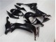 Brillante Negro Carrocería ZX10R 08-10