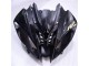 Brillante Negro Mate Carenado R6 08-16