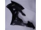 Brillante Negro Mate Carenado R6 08-16