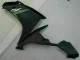 Negro Kit ABS Carenado R1 07-08