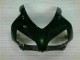 Negro Plástico CBR 1000 RR 04-05