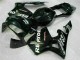 Negro Plástico CBR 600 RR 03-04
