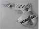 Plata Blanco Negro Repsol Carenados CBR 600 RR 03-04