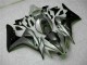 Plata Plástico CBR 1000 RR 06-07 Plata Plástico CBR 1000 RR 06-07