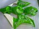 Verde Carenado CBR 1000 RR 06-07