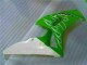 Verde Carenado CBR 1000 RR 06-07
