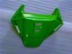Verde Carenado CBR 1000 RR 06-07